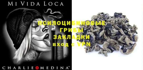 дмт Каменск-Шахтинский