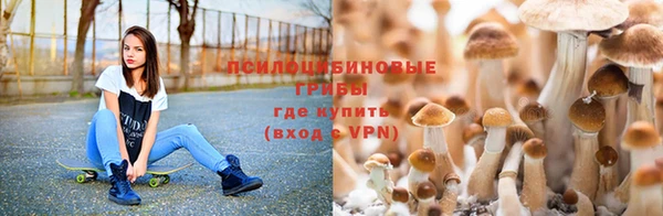 дмт Каменск-Шахтинский